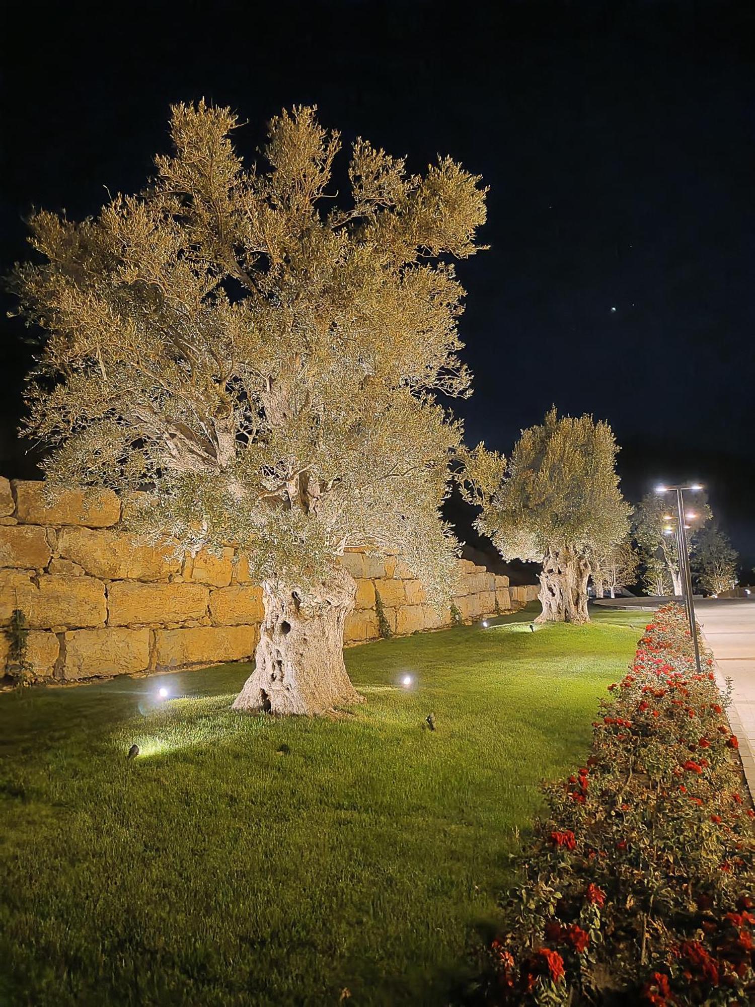 Cherrytales Ḩammānā Εξωτερικό φωτογραφία